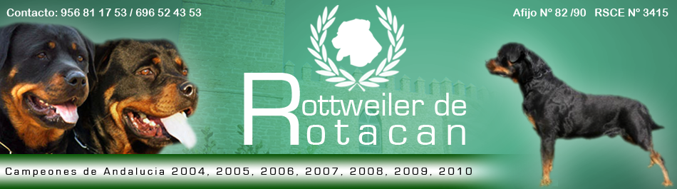 WEB de ROTACAN